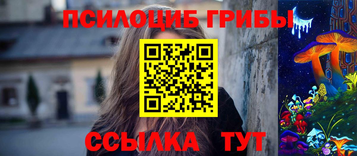 Партизанск  Псилоцибиновые грибы MAGIC MUSHROOMS  Вход с VPN  Псилоцибиновые грибы мицелий 