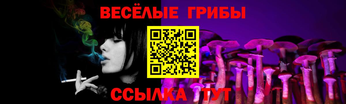 Псилоцибиновые грибы мухоморы Партизанск